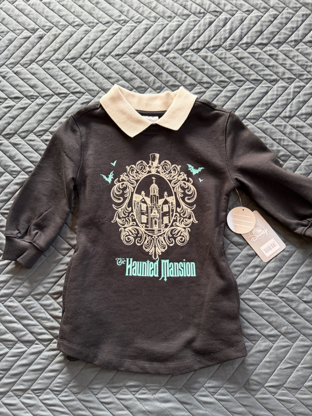 Disney Black Kids Haunted Mansion Sweatshirt with Mint and Cream Accents